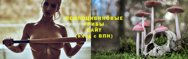 COCAINE Вяземский