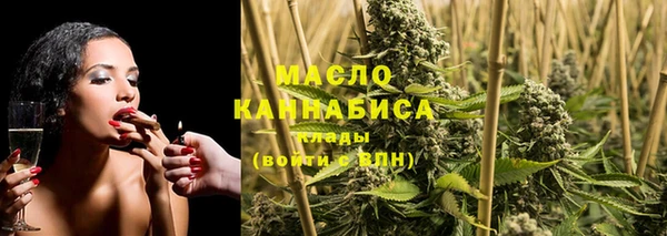 мдпв Вязьма