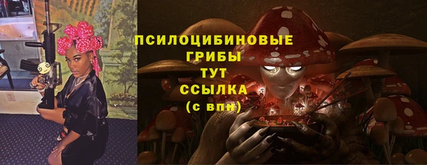 мдпв Вязьма