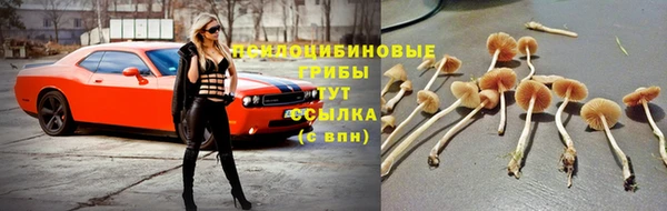 мдпв Вязьма