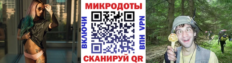 Псилоцибиновые грибы прущие грибы  Купить закладки  Кимовск 